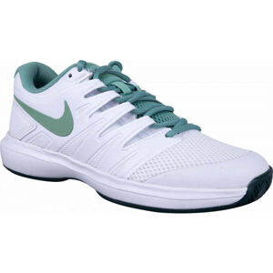 Nike AIR ZOOM PRESTIGE HC W Dámska tenisová obuv, biela, veľkosť 39